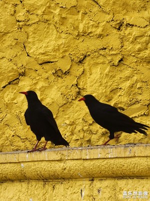 隨手拍之云南行