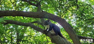 隨手拍龍首山昆蟲