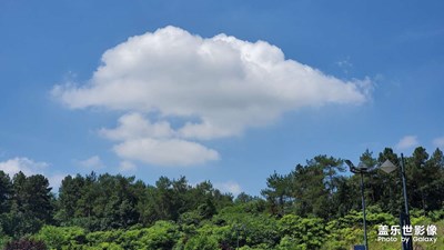 看，天上的云像不像棉花糖？