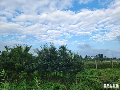 【夏了夏了】+雨后藍(lán)天