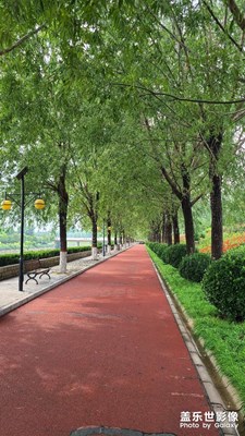 最近近視越來越嚴(yán)重了，聽說綠色養(yǎng)眼，特意來十里畫廊養(yǎng)養(yǎng)眼