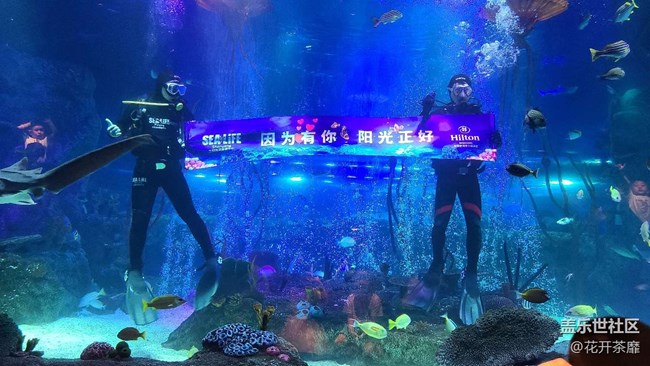 沈陽(yáng)星部落k11海洋館攝影活動(dòng)回顧