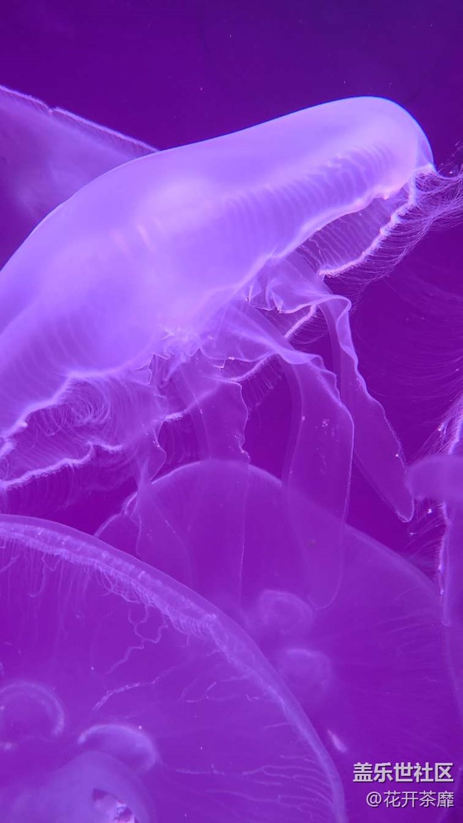 沈陽(yáng)星部落k11海洋館攝影活動(dòng)回顧