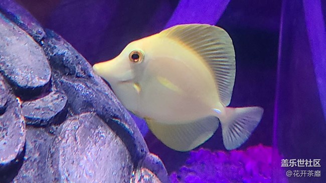 沈陽(yáng)星部落k11海洋館攝影活動(dòng)回顧