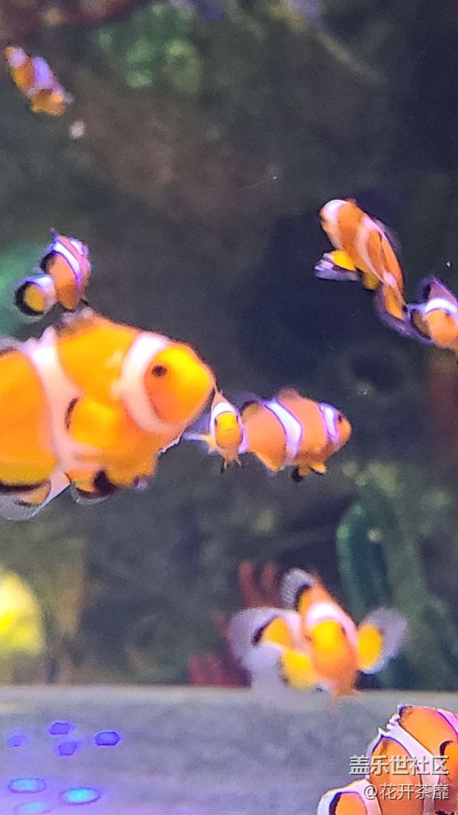 沈陽(yáng)星部落k11海洋館攝影活動(dòng)回顧