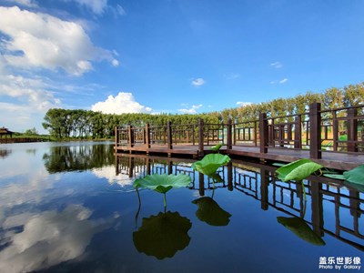 鐵嶺蓮花濕地公園