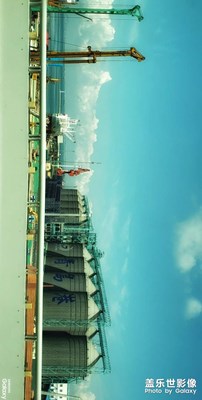 青島   我又來了