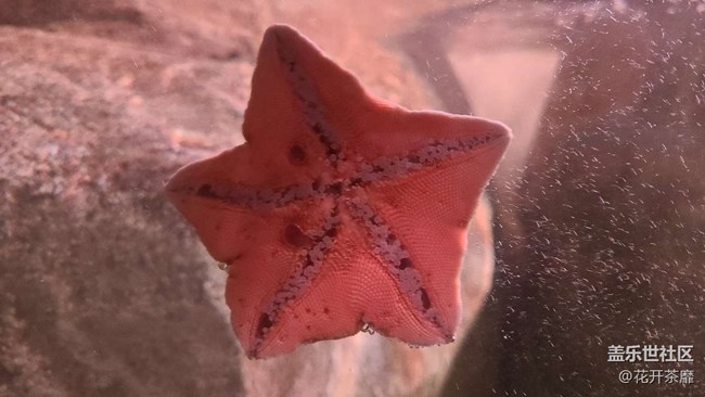 沈陽(yáng)星部落k11海洋館攝影活動(dòng)回顧