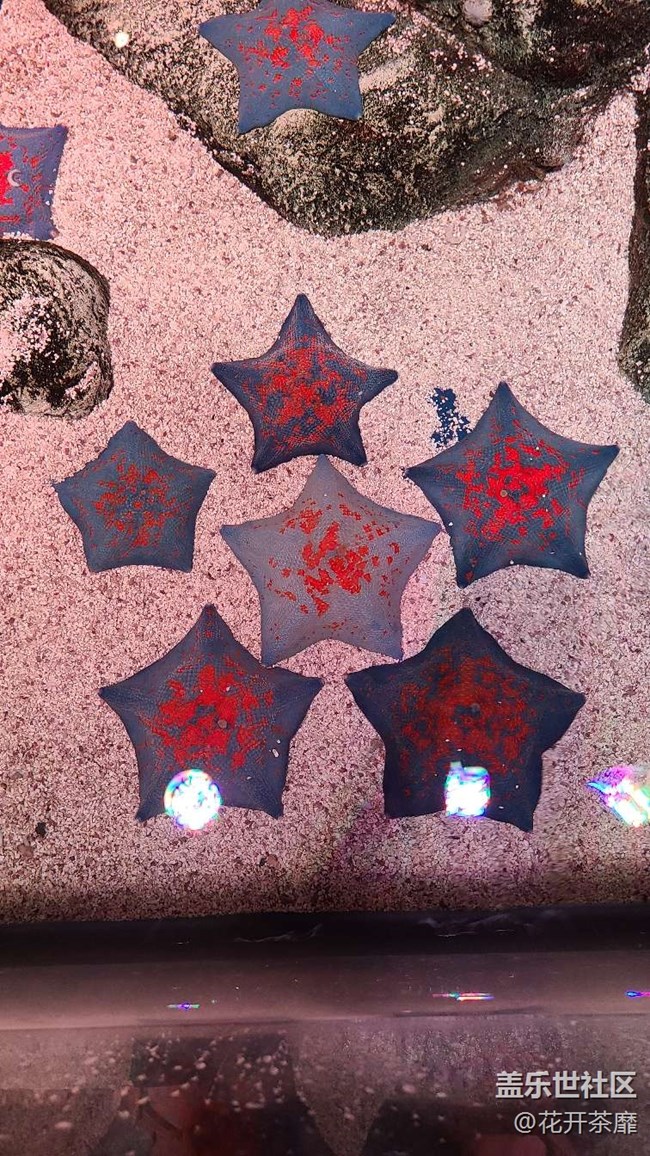 沈陽(yáng)星部落k11海洋館攝影活動(dòng)回顧