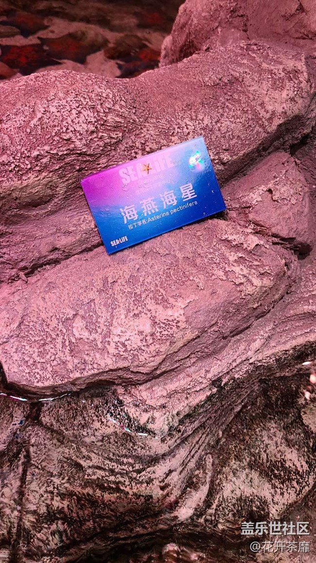 沈陽(yáng)星部落k11海洋館攝影活動(dòng)回顧