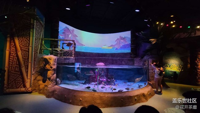 沈陽(yáng)星部落k11海洋館攝影活動(dòng)回顧