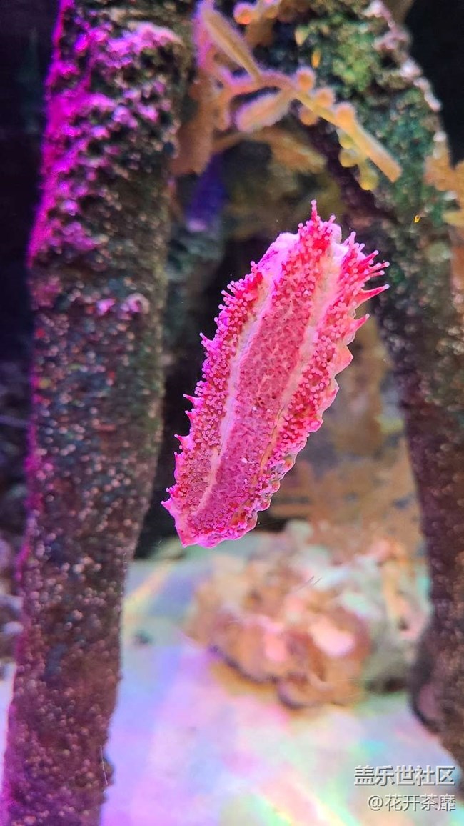 沈陽(yáng)星部落k11海洋館攝影活動(dòng)回顧