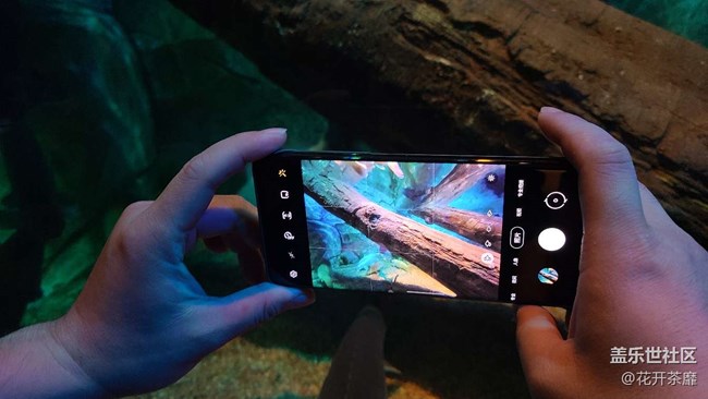 沈陽(yáng)星部落k11海洋館攝影活動(dòng)回顧