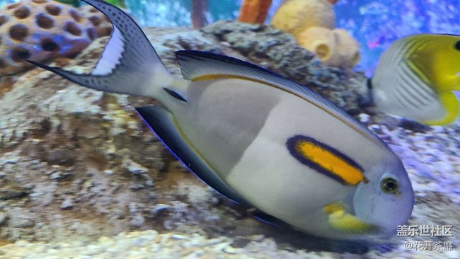 沈陽(yáng)星部落k11海洋館攝影活動(dòng)回顧