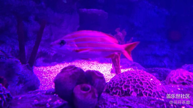 沈陽(yáng)星部落k11海洋館攝影活動(dòng)回顧