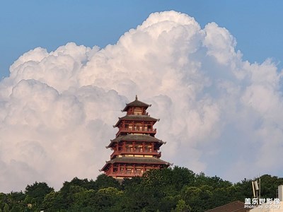 【不負美好】+城市隨拍