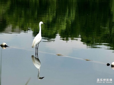 【不負美好】+成都公園城市之美