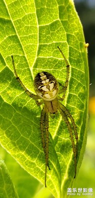 【不負(fù)美好】隨手拍