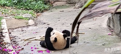 【閃亮的日子】+旅游啦