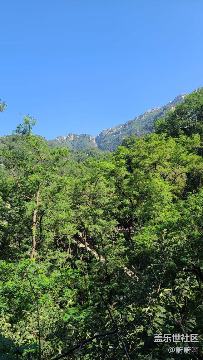 【我與三星的精彩瞬間】+新人報到希望大家支持