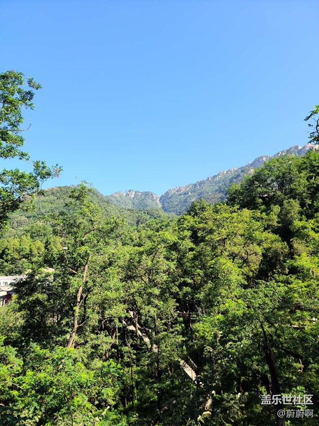 【我與三星的精彩瞬間】+新人報到希望大家支持