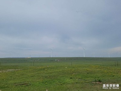 內(nèi)蒙古小草原