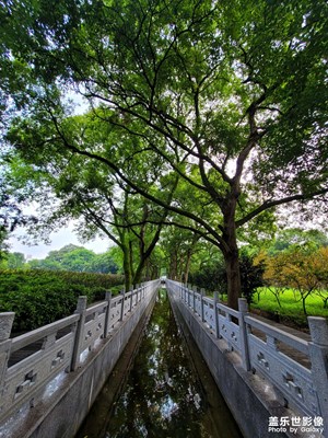 一條路彎彎曲曲細又長