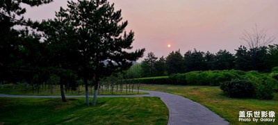 旭日東升，聞雞起舞