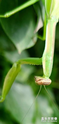 【精致生活】 隨手拍