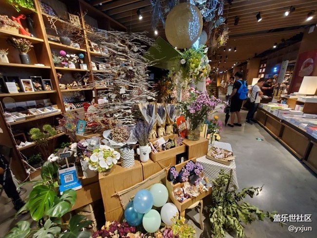 【我與沈陽星部落的故事】+三星往事