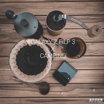 長(zhǎng)在審美上的夏夜森林