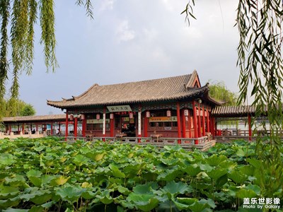 【光影故事】泉城濟(jì)南