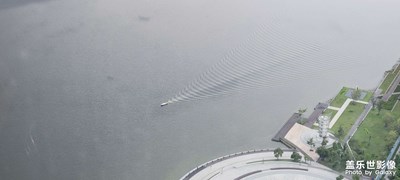 深圳灣的一波漣漪