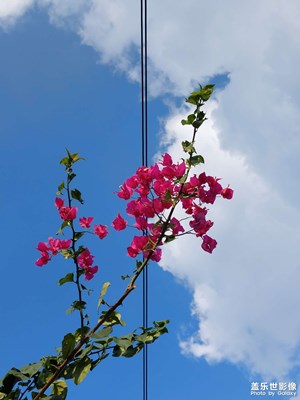 【光影故事】夏日漸退