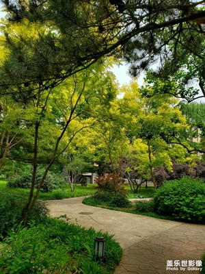 【光影故事】 北京隨拍