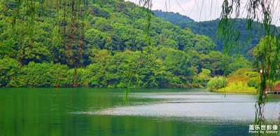 【洞天盛景·一簾幽綠】