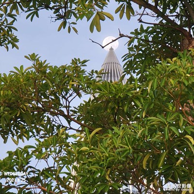 月亮??太陽(yáng)