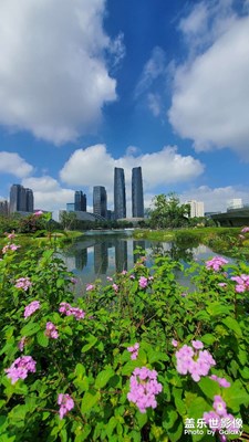 成都高新區(qū)金融城雙子塔，交子環(huán)打卡