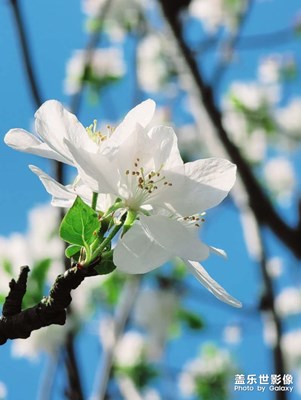 手機(jī)里的存貨