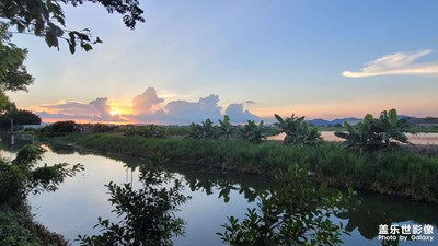 周末田園農(nóng)家樂