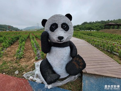 【神奇的動物】 真真假假