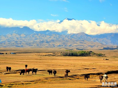 美麗的新疆，歡迎您！