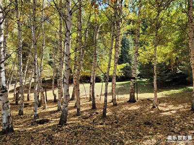 今日照片     南山沙溝