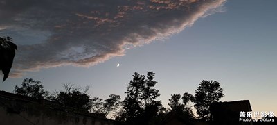 目光所及皆是美好！