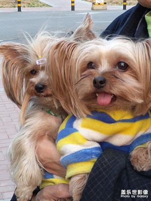 【神奇的動(dòng)物】可愛(ài)的它們