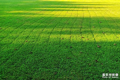 陽光留下的痕跡