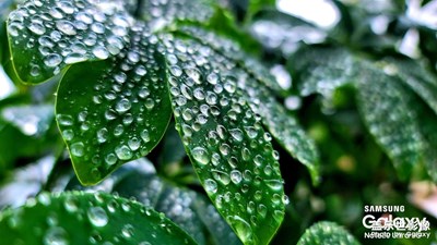 最新系統(tǒng)實拍照片