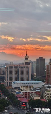 隨手一拍