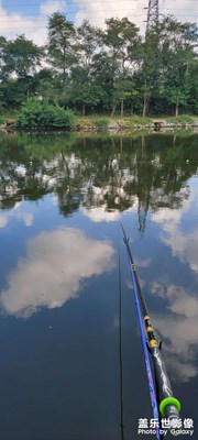 一桿，一線，一世界