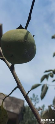 一天都是如何過的